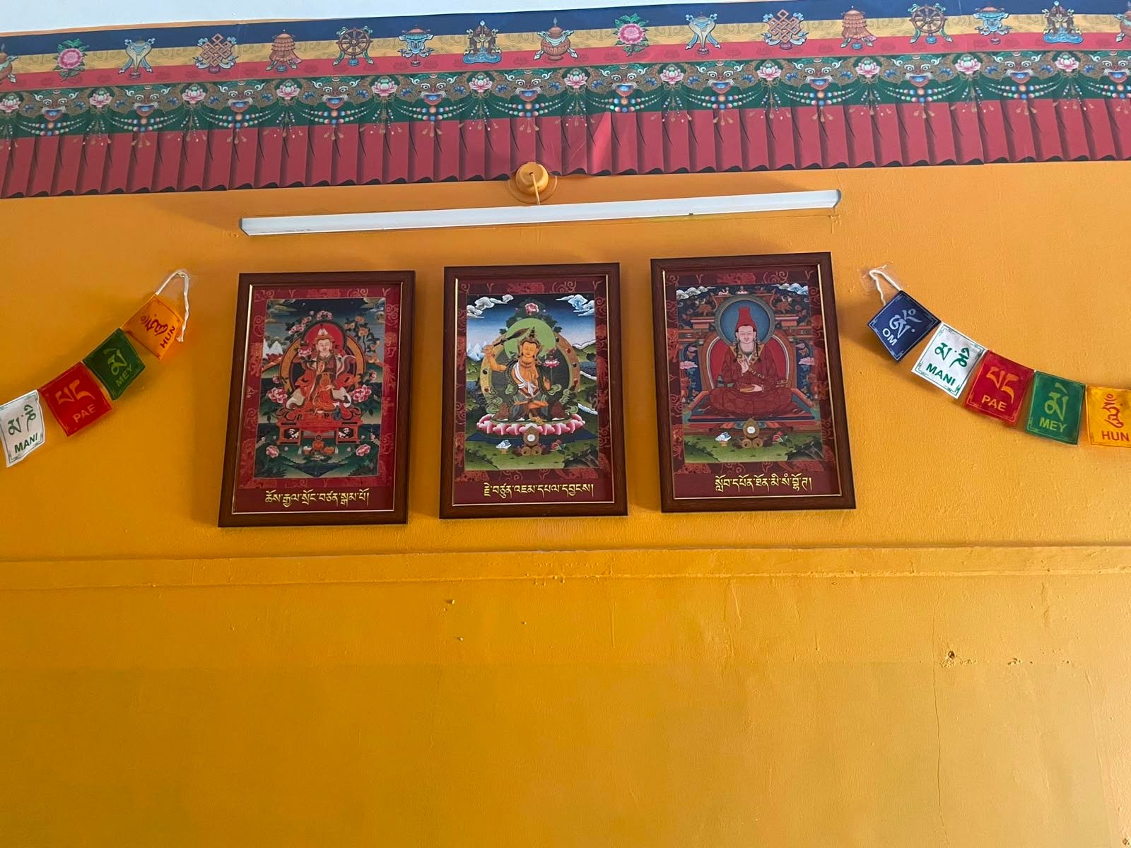 Photo 64 from Inauguration of the New Tibetan Language Room